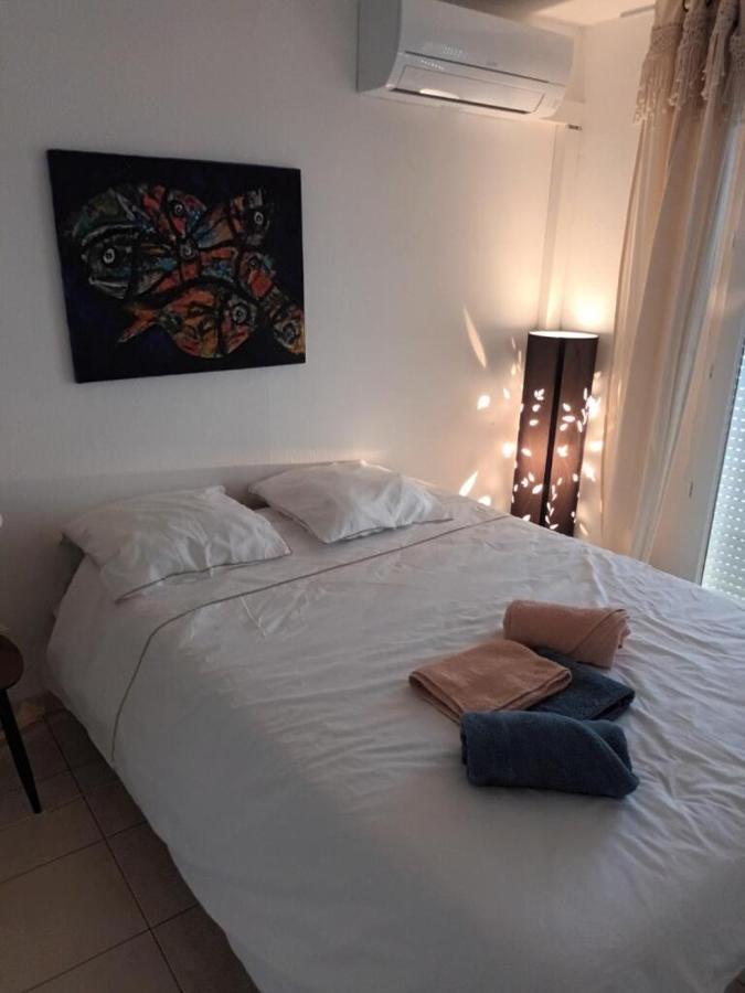 Appartement T2, Climatise, Wifi, Parking Et Piscine Prives Sete Bagian luar foto